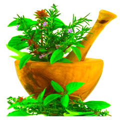 Himalayan Organic Products
