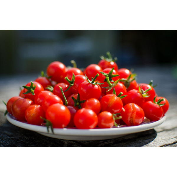 Cherry20Tomatoes 600x600 1