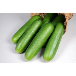 Cucumber 600x600 1