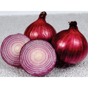 Onion20Dark 600x600 1