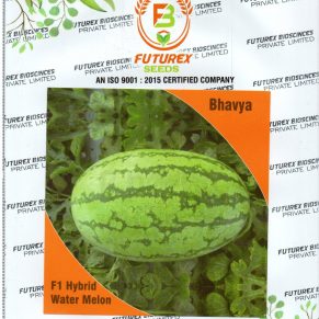 bhavya2