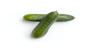 Cucumber