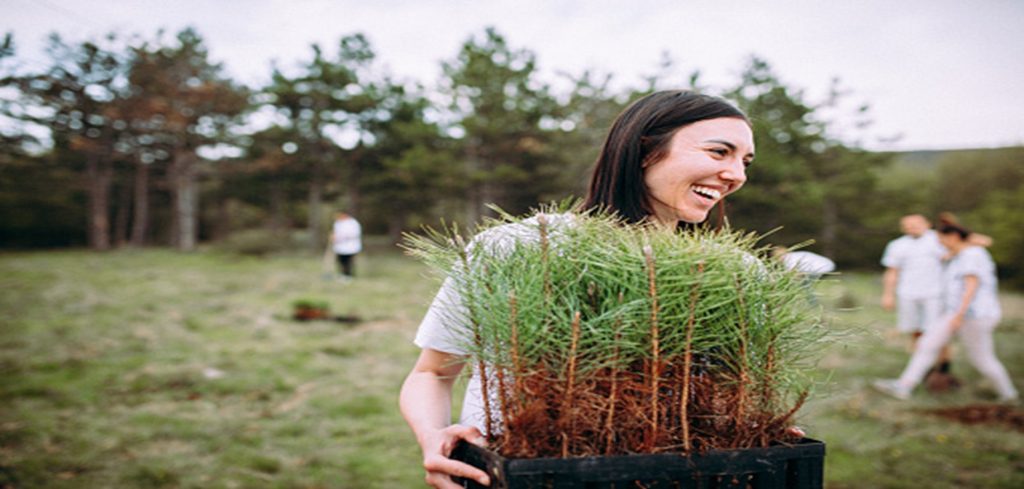 spaces for planting seeds