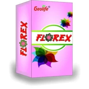 Florex 1024x1024
