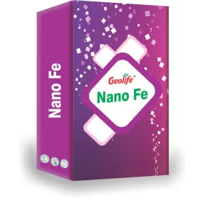 NanoFE 1024x1024